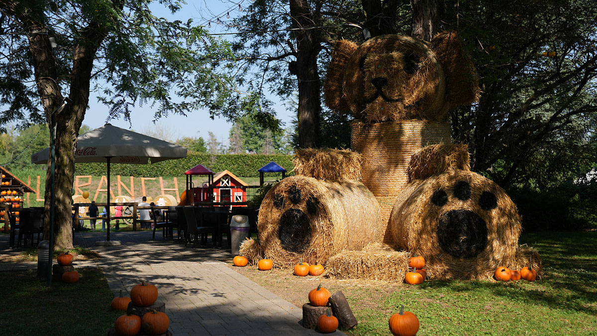 ranch_idea_village_autunno.jpg Ranch di Idea Village in autunno